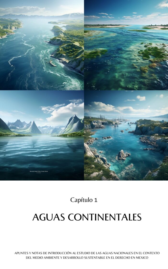 Las Aguas Nacionales en el Contexto del Medio Ambiente y Desarrollo Sustentable