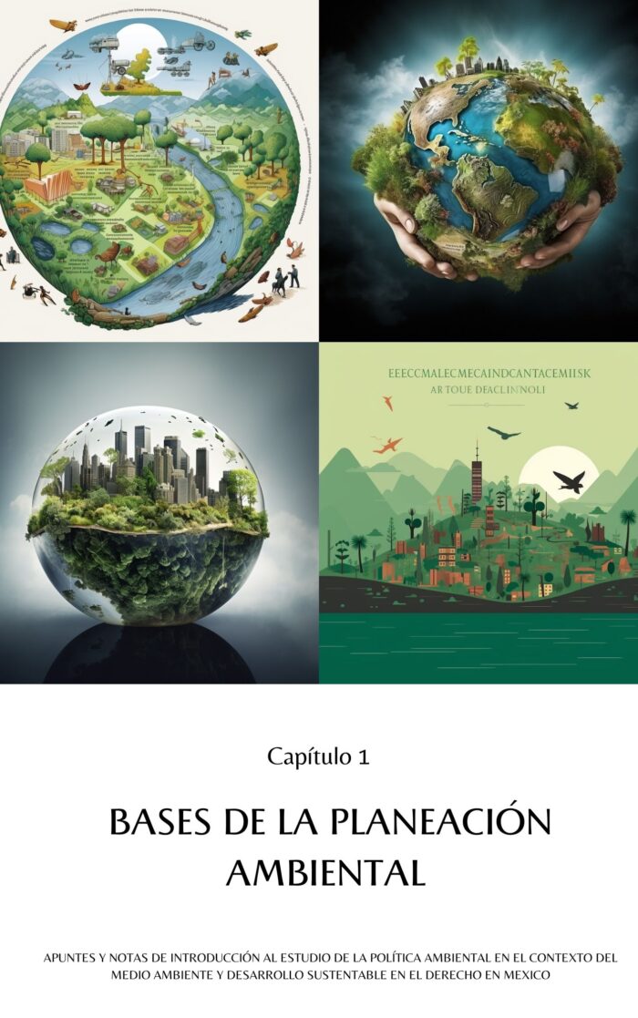 Política Ambiental en el Contexto del Medio Ambiente y Desarrollo Sustentable