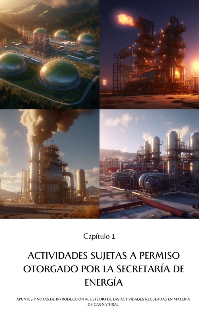Actividades Reguladas en materia de Gas Natural