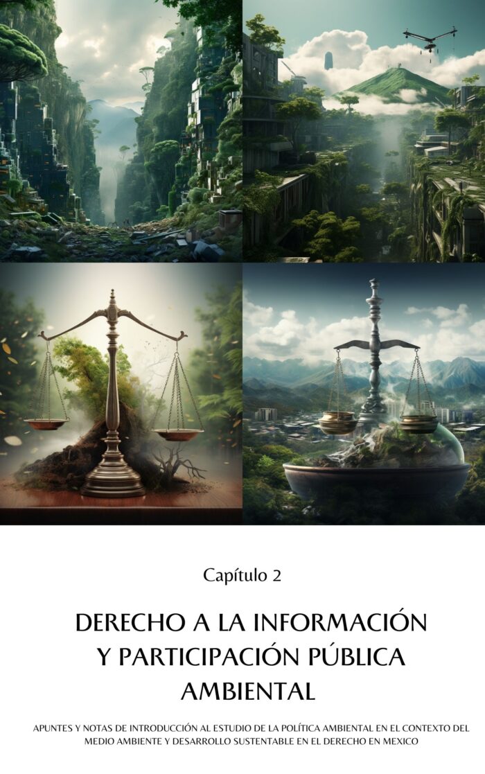 Política Ambiental en el Contexto del Medio Ambiente y Desarrollo Sustentable