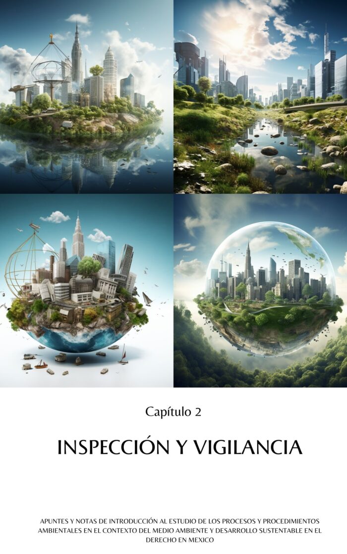 Los Procesos y Procedimientos Ambientales en el Contexto del Medio Ambiente y Desarrollo Sustentable