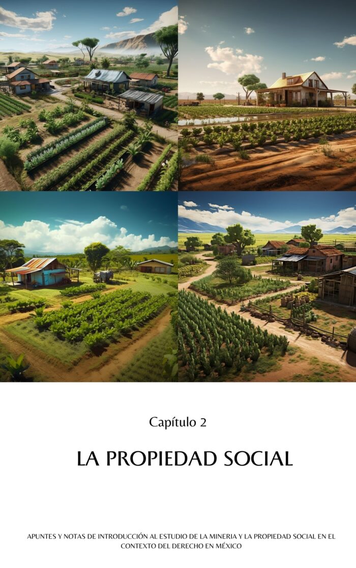 Minería y la Propiedad Social en el Contexto del Derecho en México