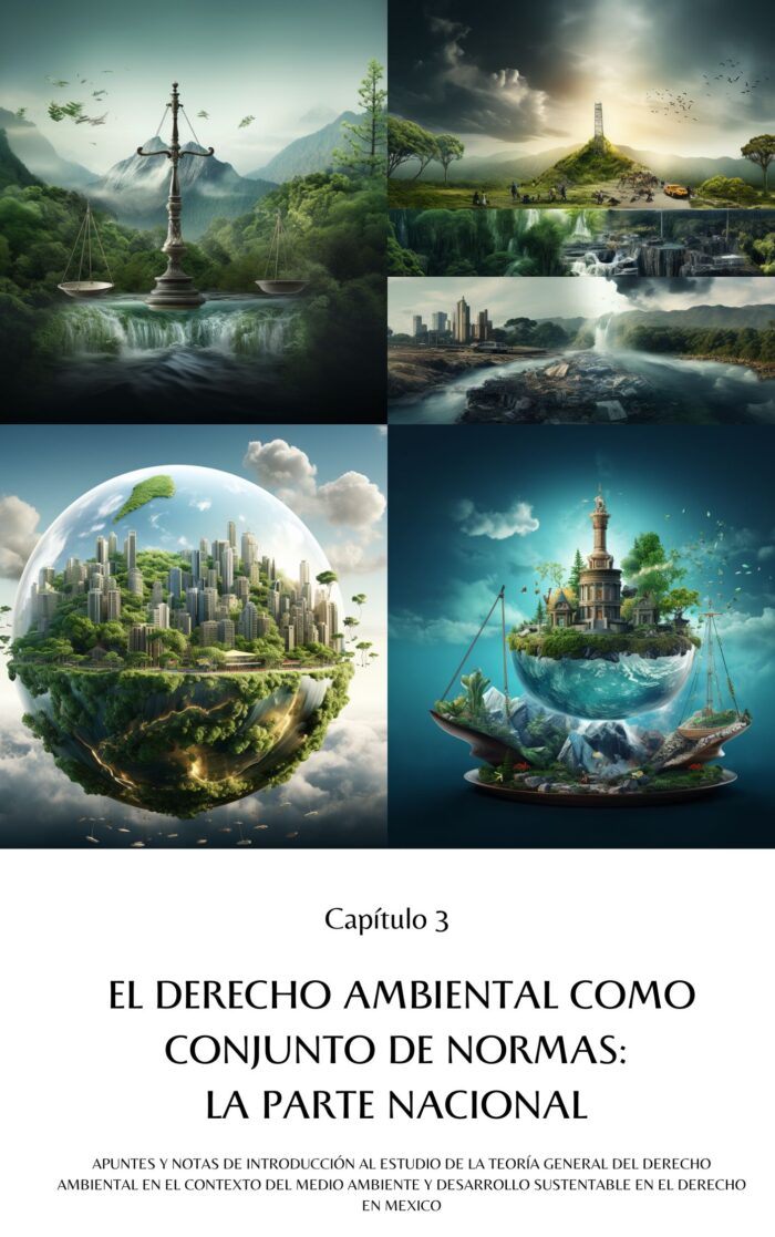Teoría General del Derecho Ambiental en el Contexto del Medio Ambiente y Desarrollo Sustentable