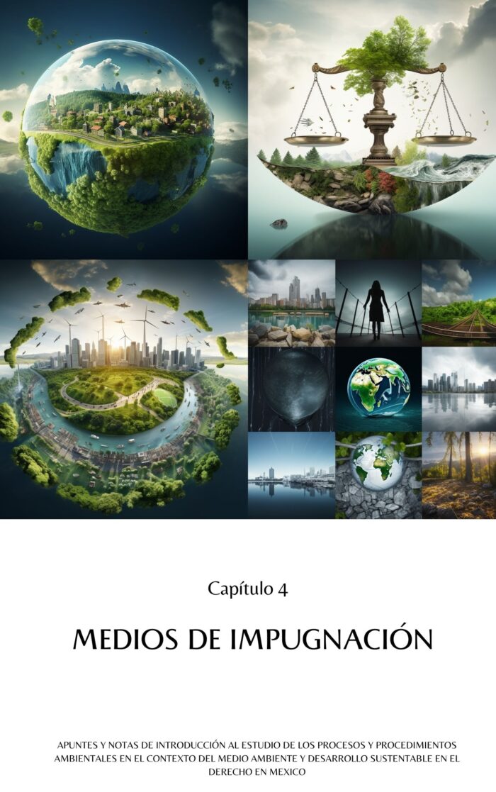 Los Procesos y Procedimientos Ambientales en el Contexto del Medio Ambiente y Desarrollo Sustentable