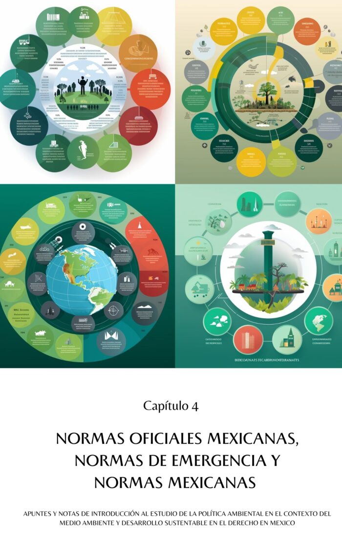 Política Ambiental en el Contexto del Medio Ambiente y Desarrollo Sustentable