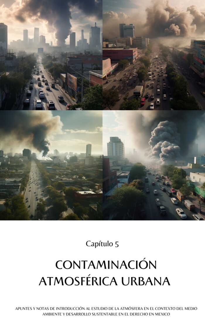La Atmósfera en el Contexto del Medio Ambiente y Desarrollo Sustentable en el Derecho en México