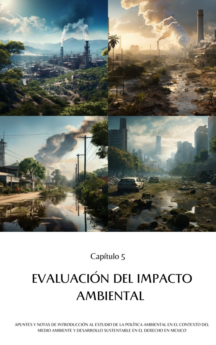 Política Ambiental en el Contexto del Medio Ambiente y Desarrollo Sustentable