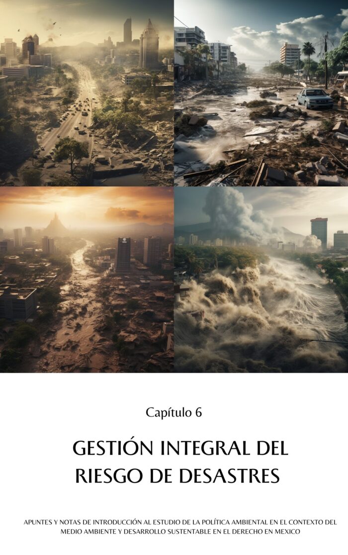 Política Ambiental en el Contexto del Medio Ambiente y Desarrollo Sustentable