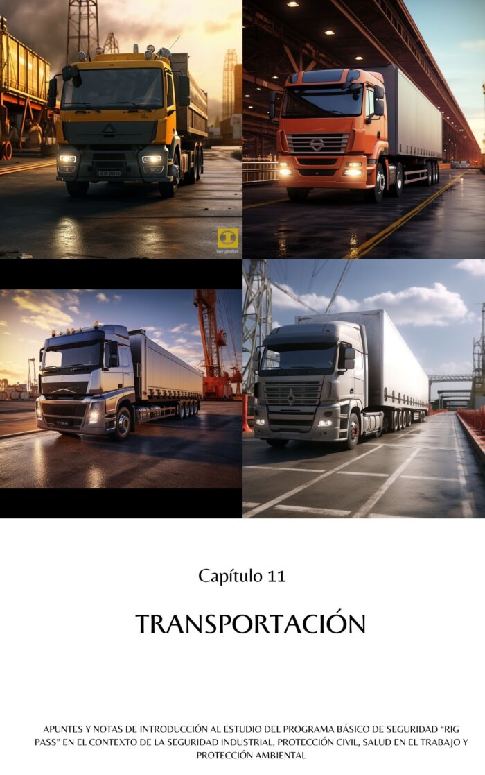 Programa Básico de Seguridad RIG PASS