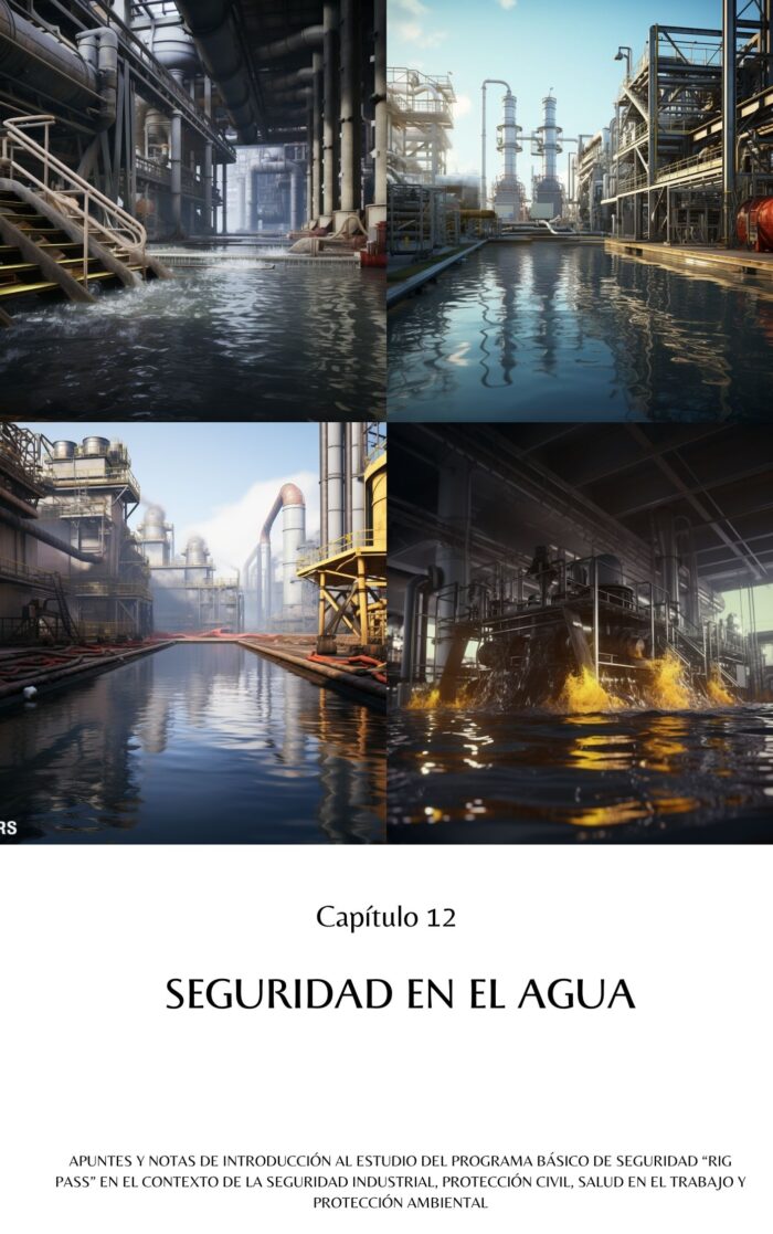 Programa Básico de Seguridad RIG PASS