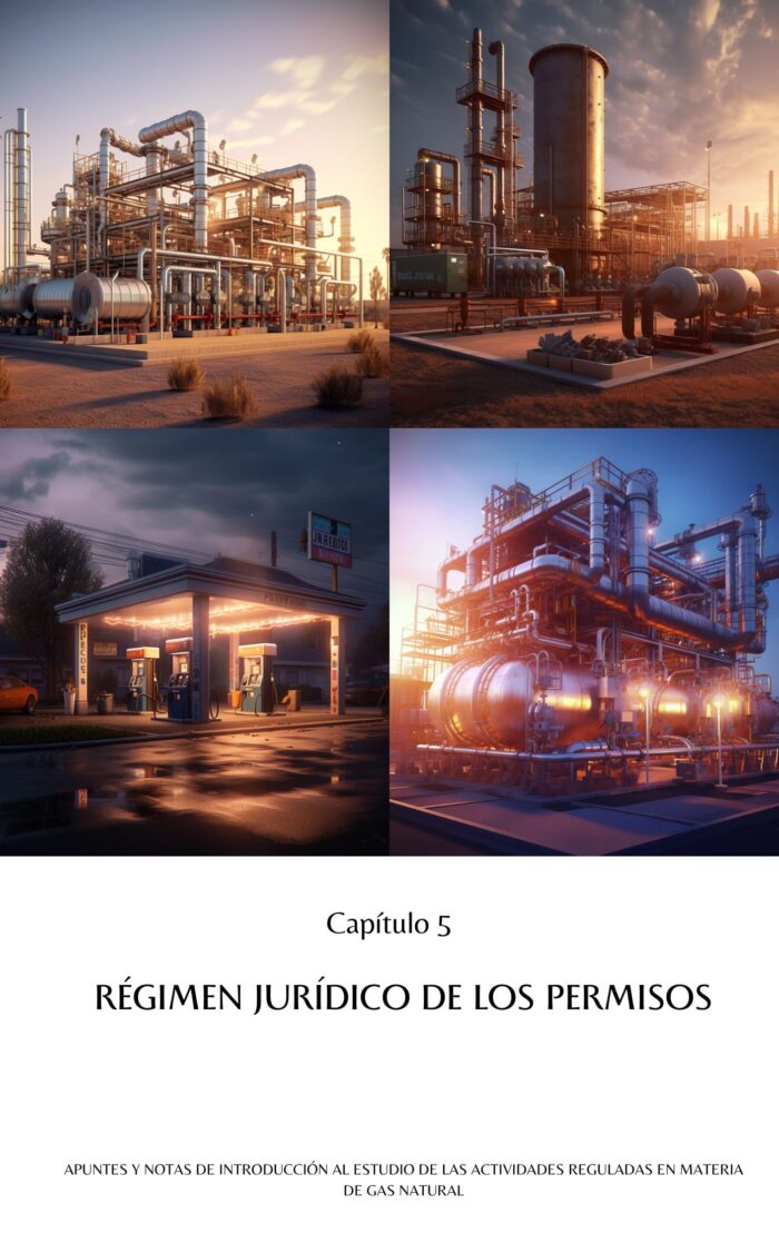 Actividades Reguladas en materia de Gas Natural